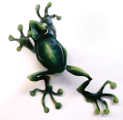 Medium Wall Frog -   LCFROGM